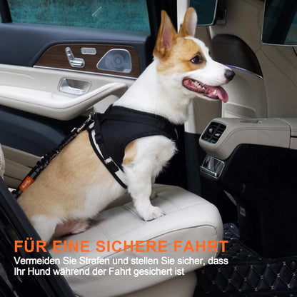Hundegurt mit Elastischer Ruckdämpfung und Starke
