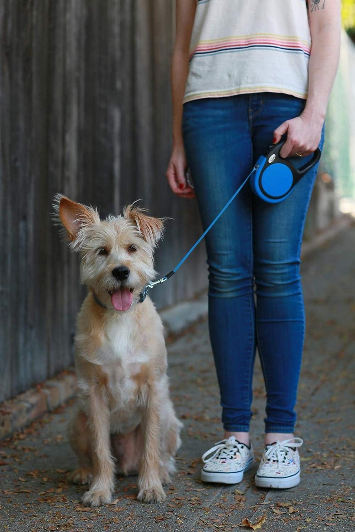 Hundeleine Rollleine für Kleine und Mittelgroße Hunde bis