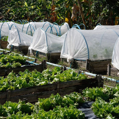 Feinmaschiges Moskitonetz Fliegennetz Insektenschutz 3m x 5m