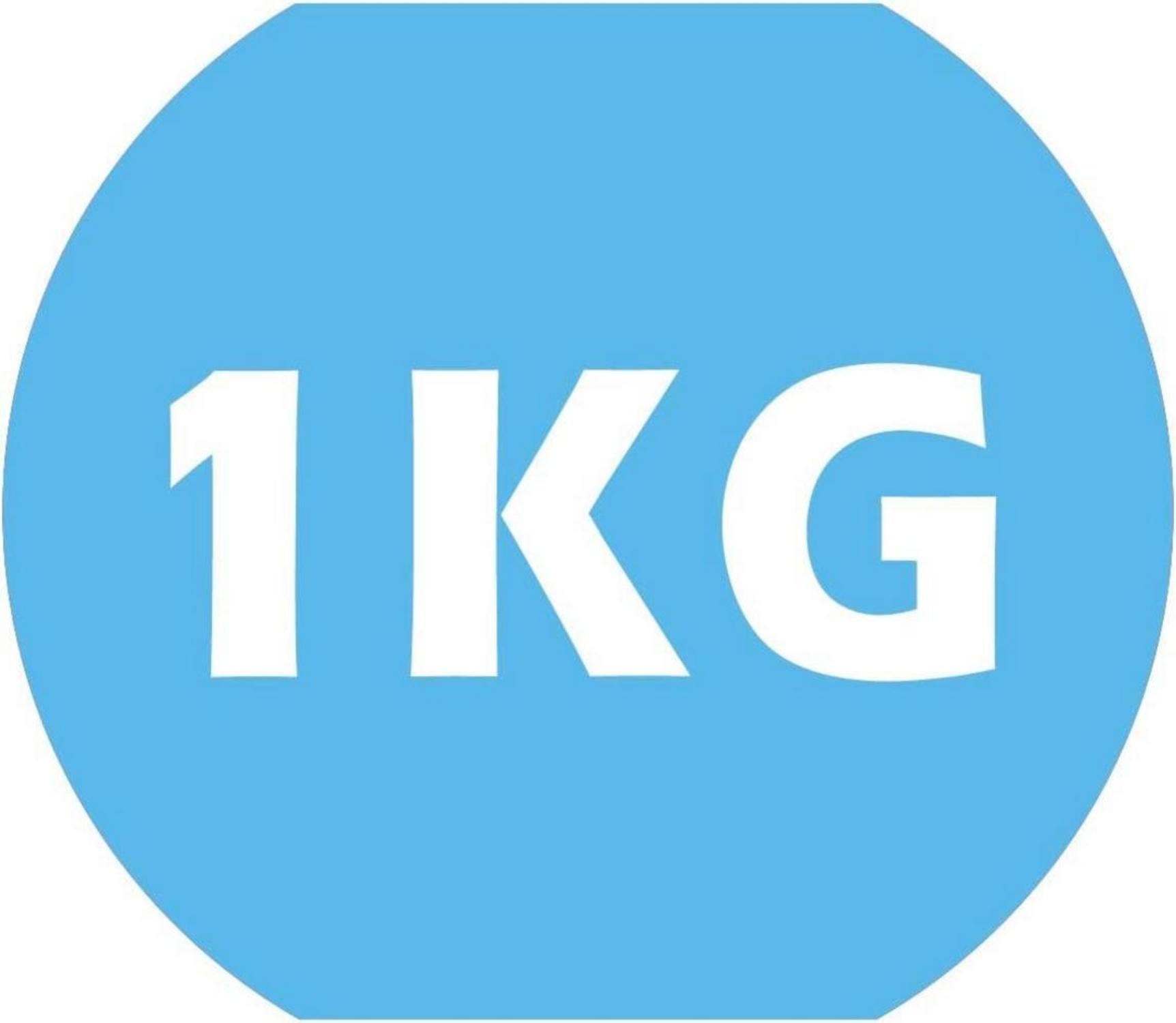 PROIRON Neopren Kurzhanteln 2er-Set 1 KG Blau - Damen Gymnastik Yoga Pilates Kinder