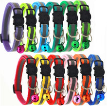 Katzenhalsband mit Glocke reflektierend fluoreszierend