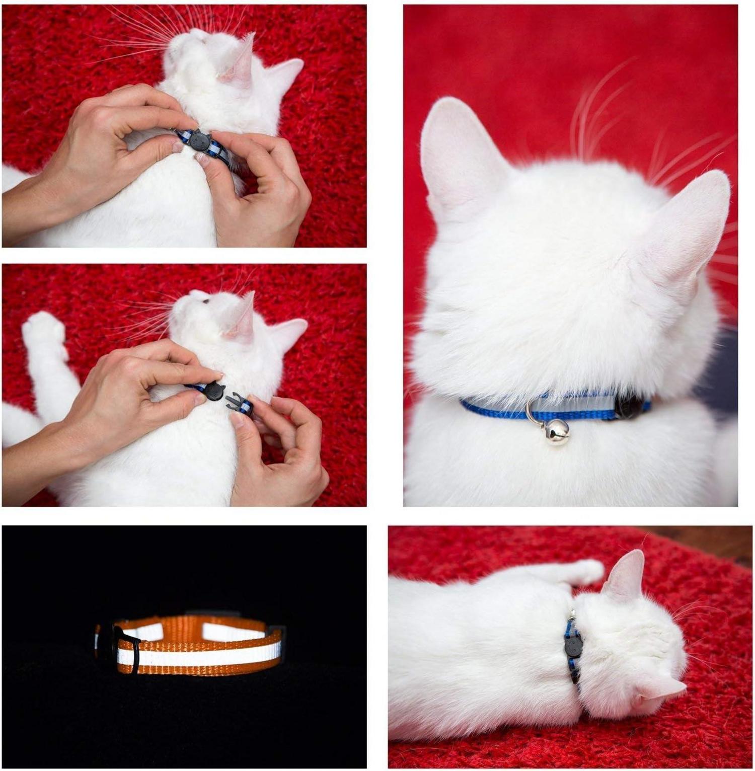 Katzenhalsband reflektierend fluoreszierend einstellbar Bell