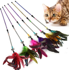 Katzen Federstab Spielzeug interaktives Training 6er-Packung