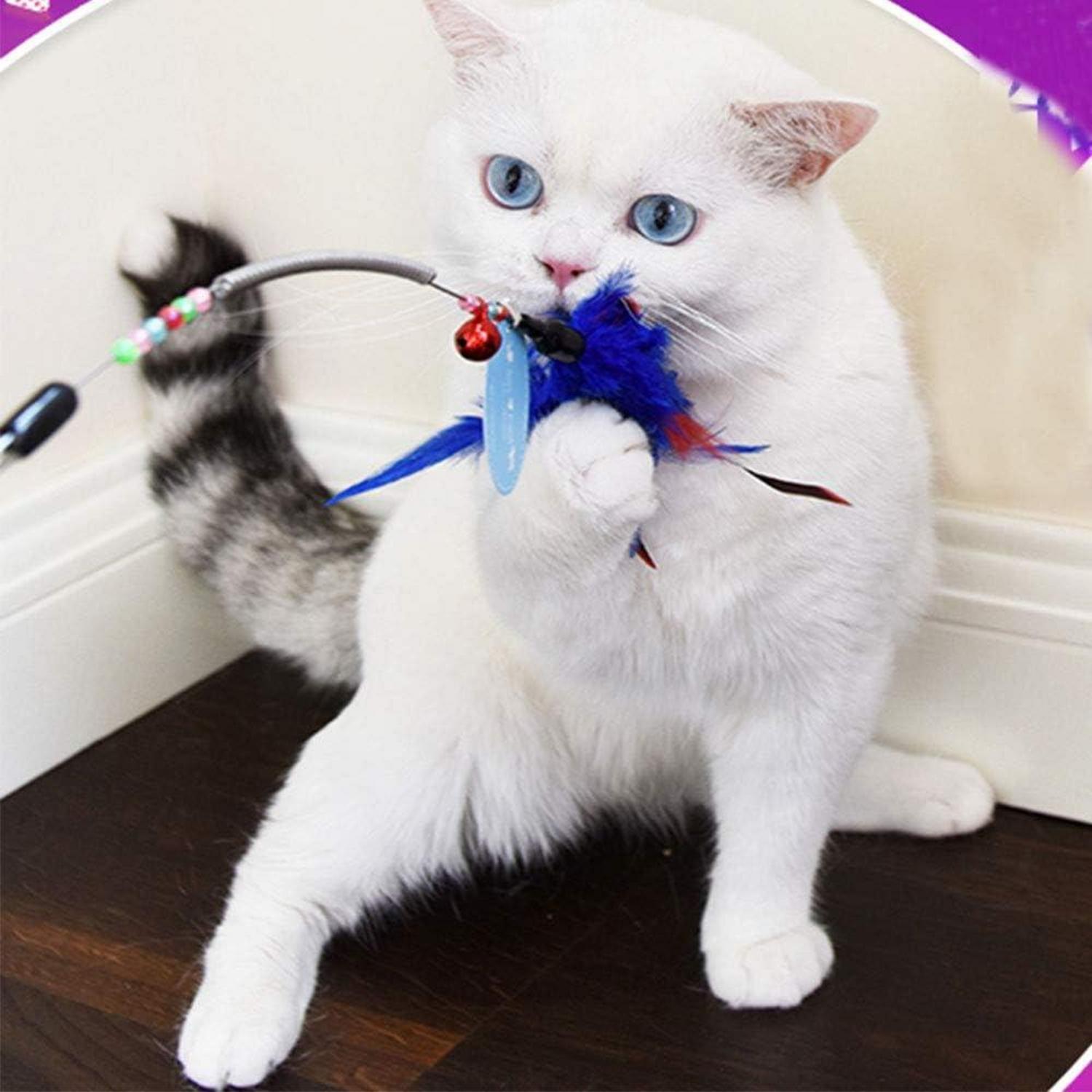 Katzen Federstab Spielzeug interaktives Training 6er-Packung