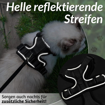 Katzengeschirr mit Leine Schwarz Softgeschirr verstellbar