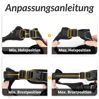 Katzengeschirr mit Leine Schwarz Softgeschirr verstellbar