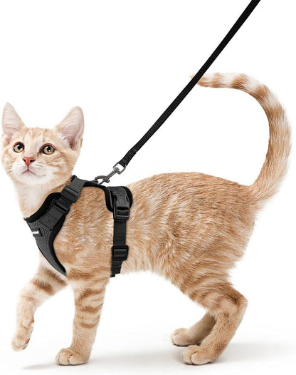 Katzengeschirr mit Leine Schwarz Softgeschirr Katze Brustgeschirr