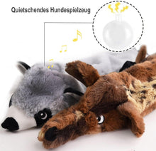Aidiyapet Hundespielzeug Quietschend, Interaktives