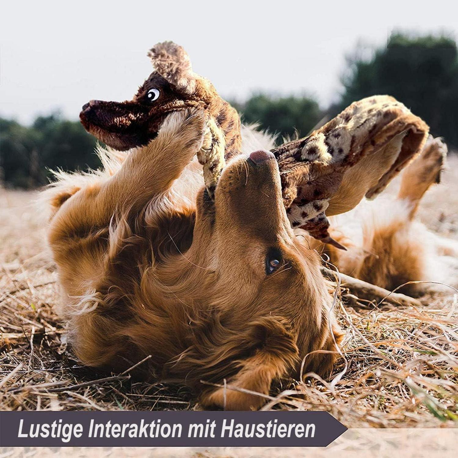 Aidiyapet Hundespielzeug Quietschend | Welpenspielzeug Unzerstörbar | Interaktives Spielzeug für Kleine Hunde (2er