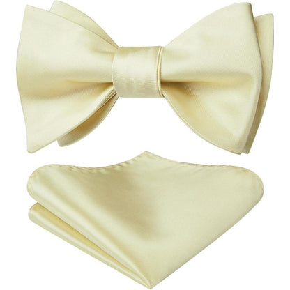 Herren Fliege Einstecktuch Champagner Accessoire Set