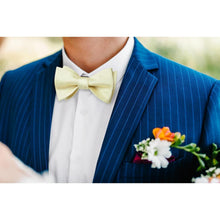 Herren Fliege Einstecktuch Champagner Accessoire Set