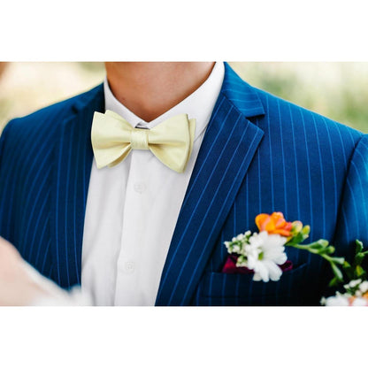 Herren Fliege Einstecktuch Champagner Accessoire Set