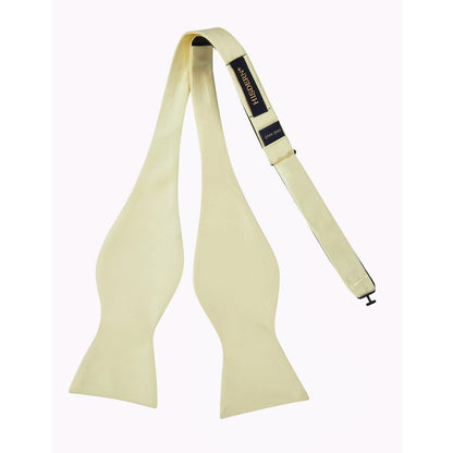 Herren Fliege Einstecktuch Champagner Accessoire Set