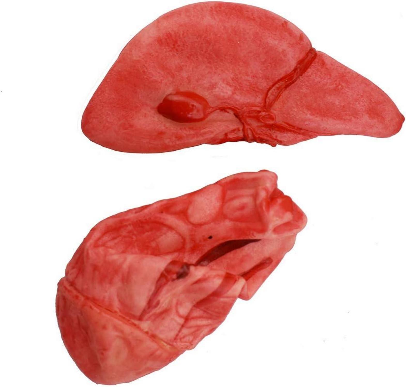 Halloween Blut Requisiten Set Latex Gruselige Körperteile Zombie Deko