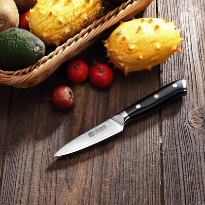 PAUDIN Damast Schälmesser 9cm VG10 Obst Gemüsemesser Japan Küchenmesser