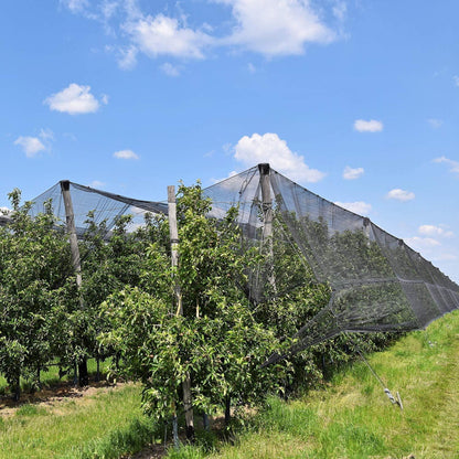 Schutznetz Pflanzenschutz 3x10m Schwarz Insekten Mücken