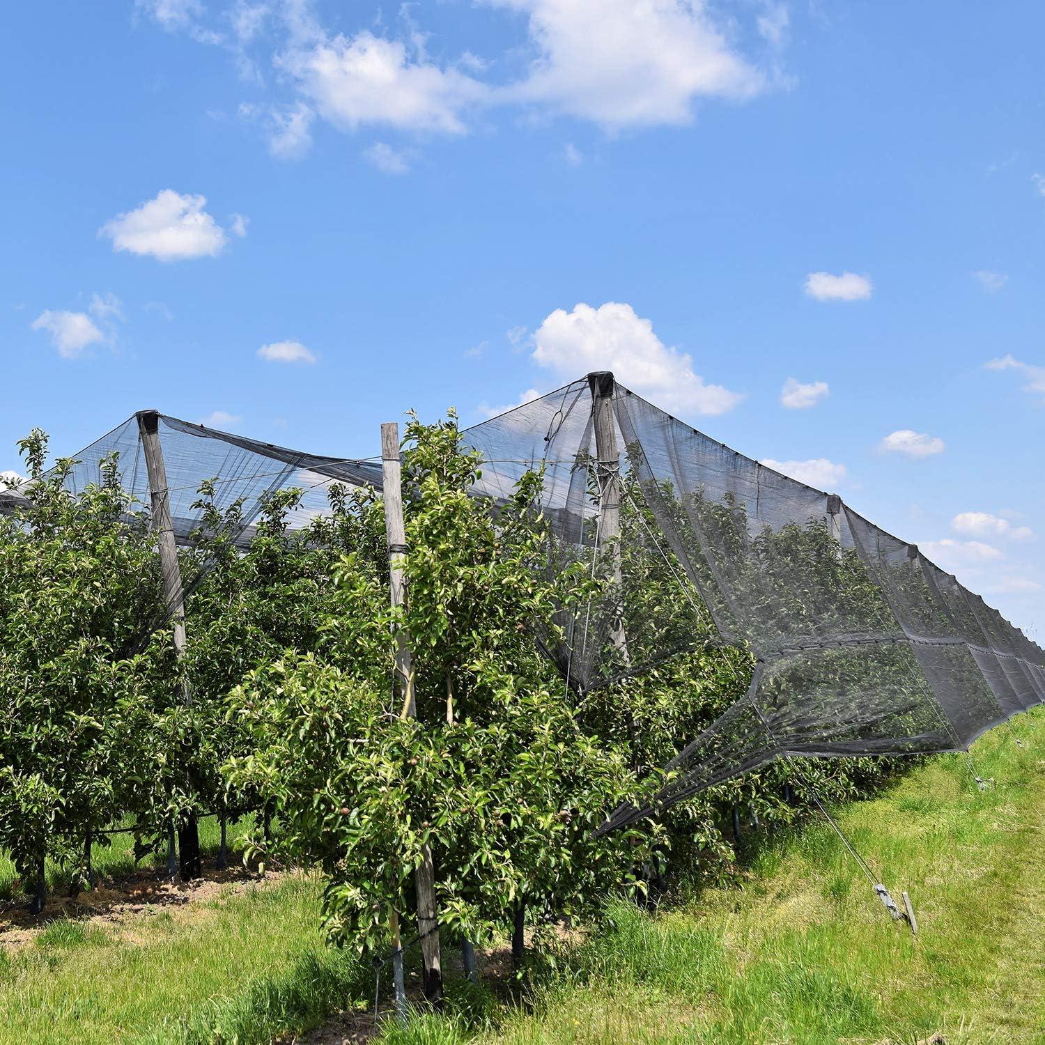 3x10m Schwarzes Insekten Mücken Vogel Netz Pflanzenschutz Gartennetz