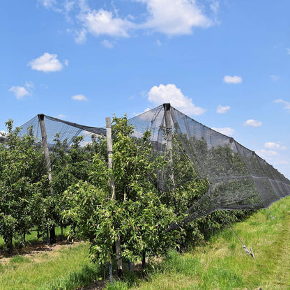 3x10m Schwarzes Insekten Mücken Vogel Netz Pflanzenschutz Gartennetz