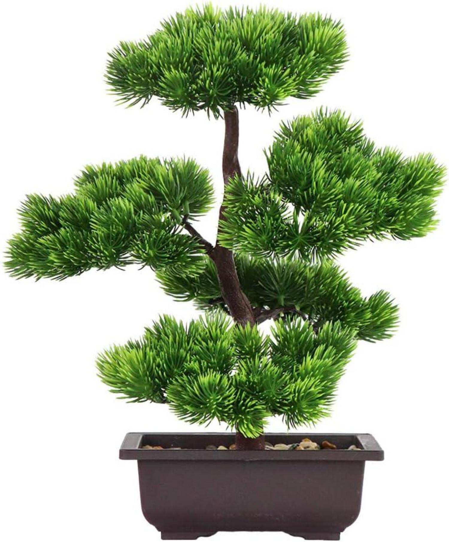 Künstlicher Bonsai-Baum Deko Pflanze 33cm Japanische KieferCppClass
