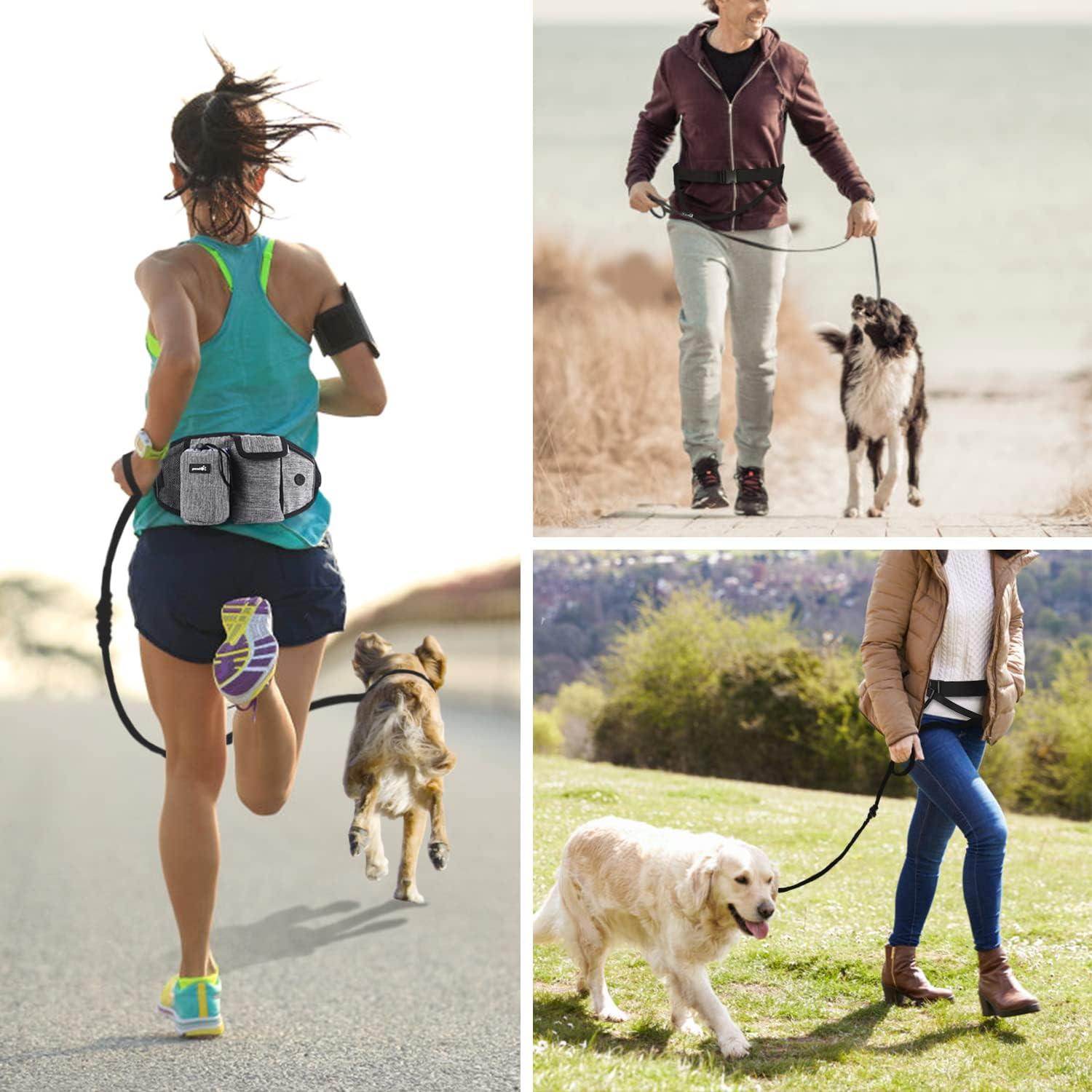Pecute Joggingleine Hund bis 110 kg reflektierend elastisch 250cm