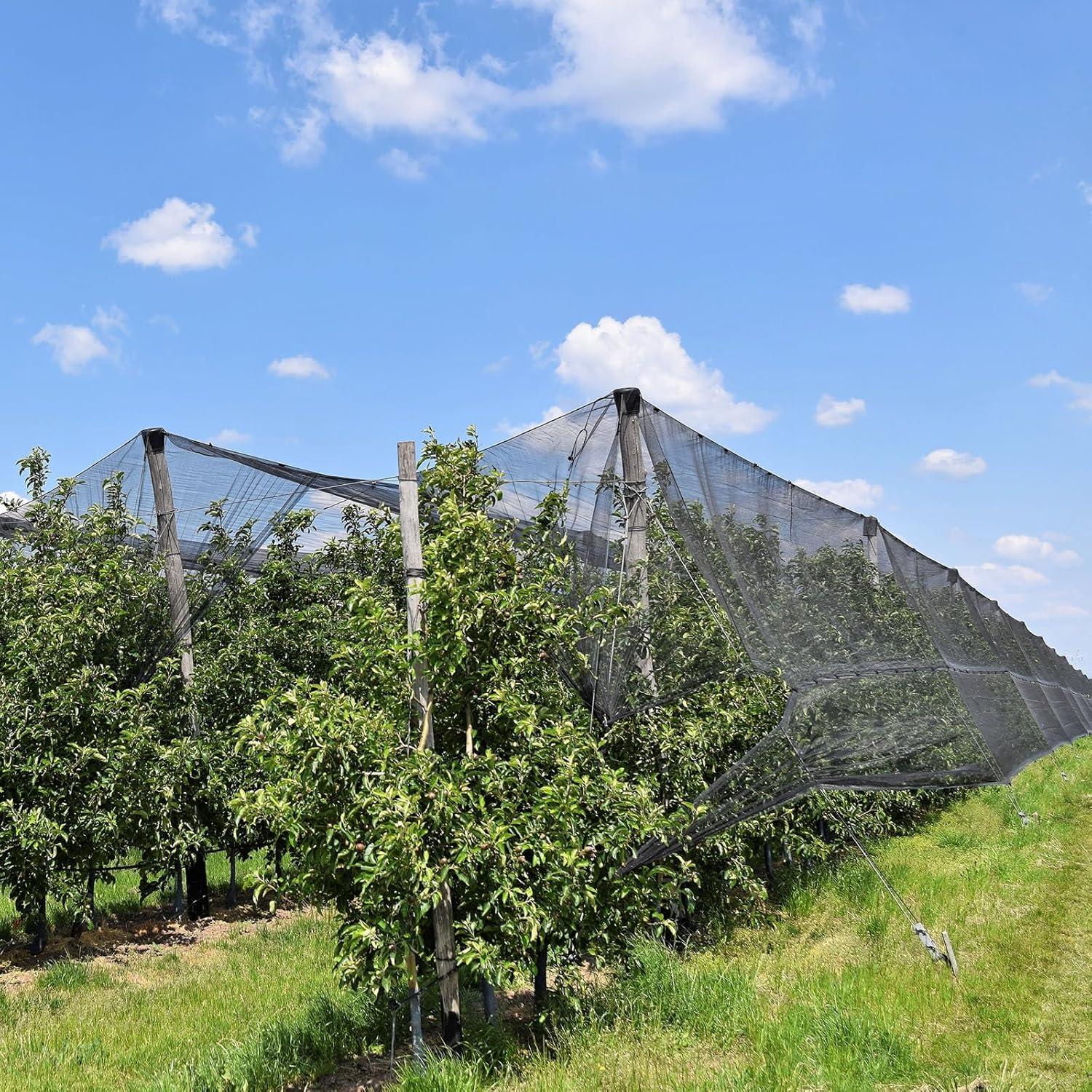 Moskitonetz Engmaschig Schwarz – 3m x 4m Insektenschutznetz