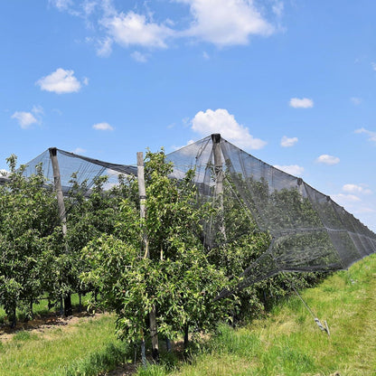 Moskitonetz Engmaschig Schwarz – 3m x 4m Insektenschutznetz