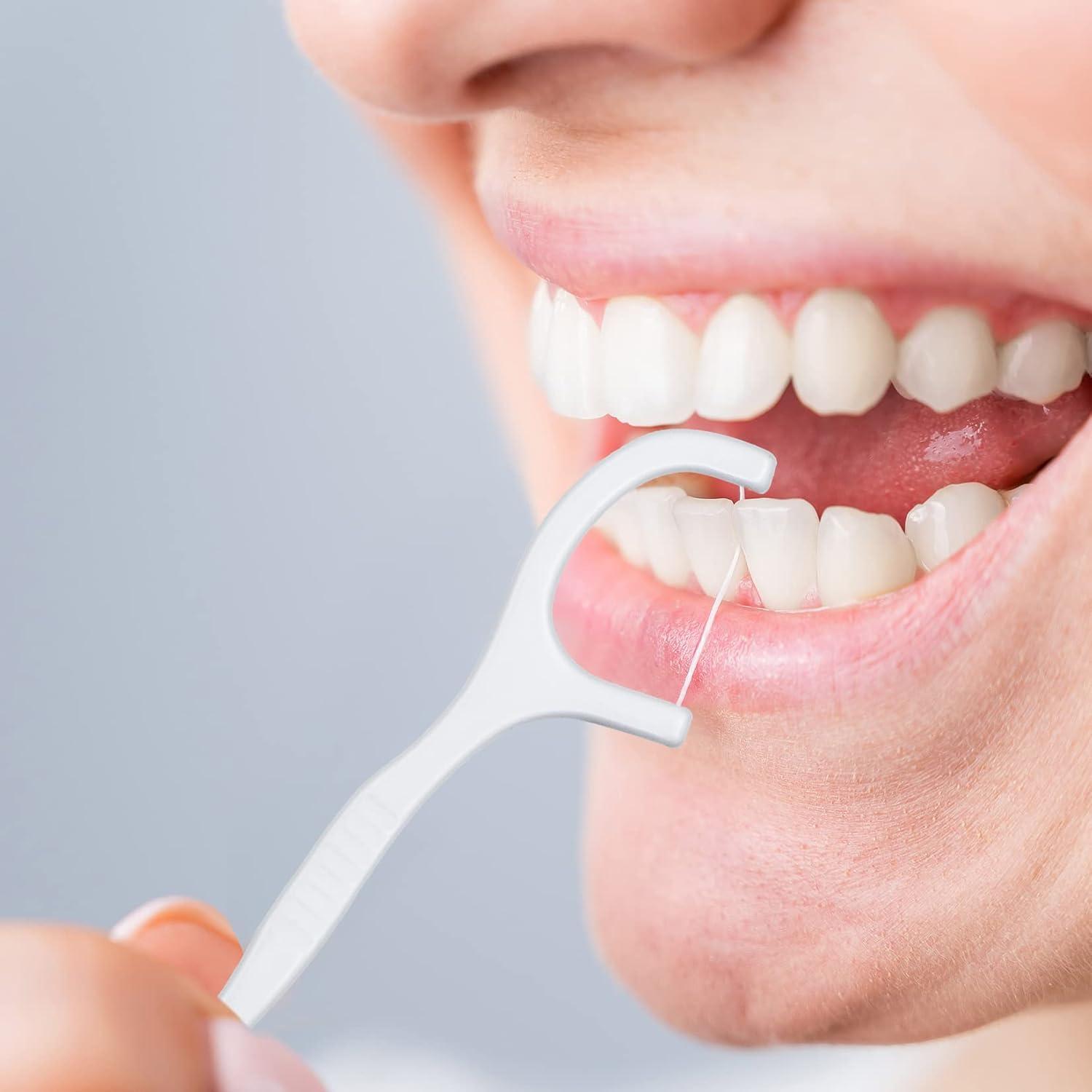 Zahnseide Sticks Dental Floss Interdental Flosser Reiseetui 400 Stück