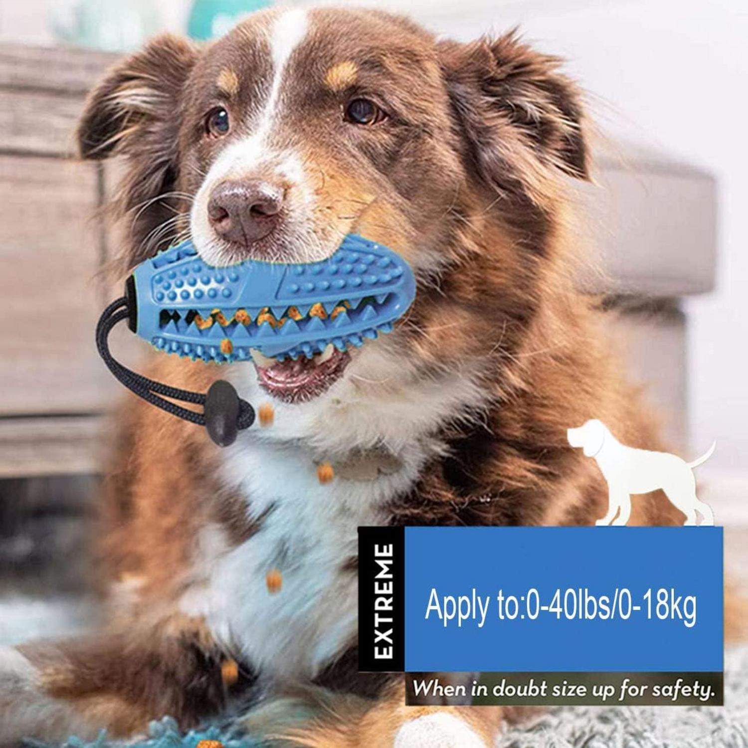 Aidiyapet Hundespielzeug Ball mit Zahnbürste und Kaustangen, robustes Naturkautschuk, Zahnreinigung, für Große, Mittelgroße, Kleine Hunde