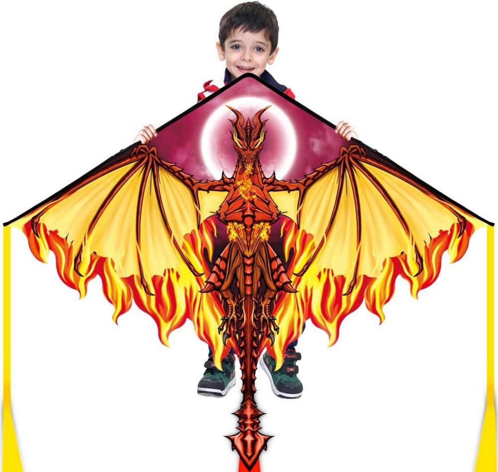 Drachen für Kinder und Erwachsene Einleiner mit 100m Drachenschnur