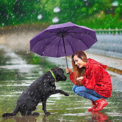 ZOMAKE Regenschirm Taschenschirm Sturmfest UV Schutz Violett