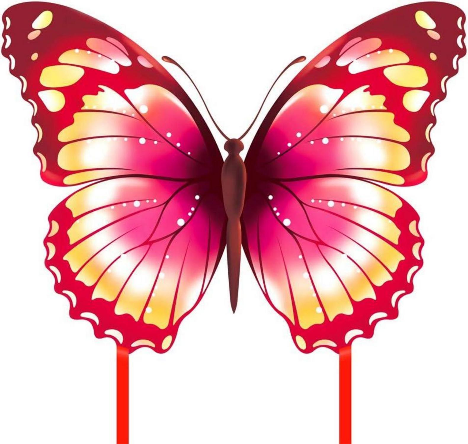 Schmetterling Drachen für Kinder und