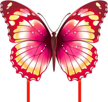 Schmetterling Drachen für Kinder und