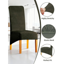 Samt Stuhlhussen 6er Set – Abnehmbar & Waschbar (Grün Grau)