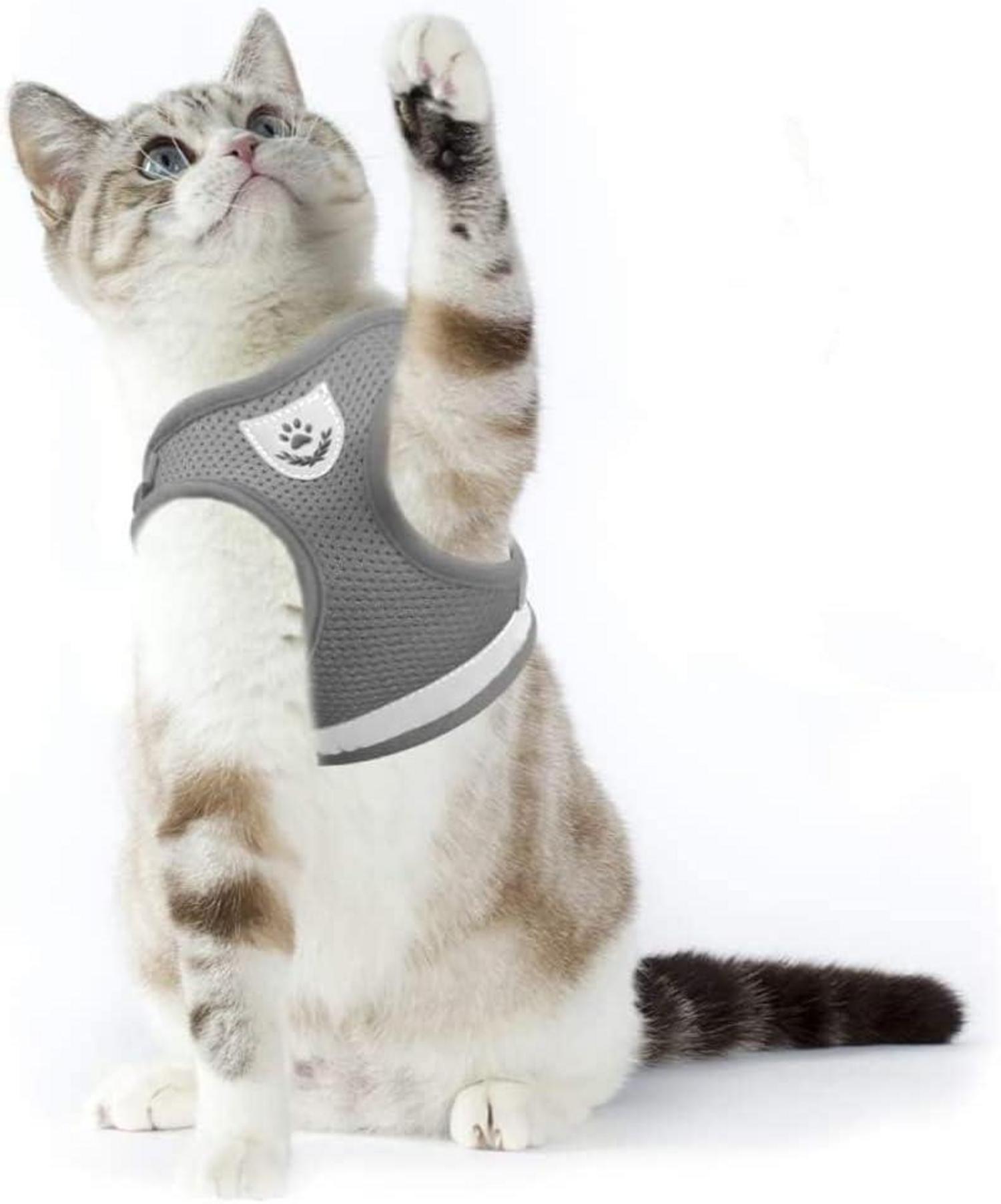 Weiches Reflektierendes Katzengeschirr mit Leine Grau M