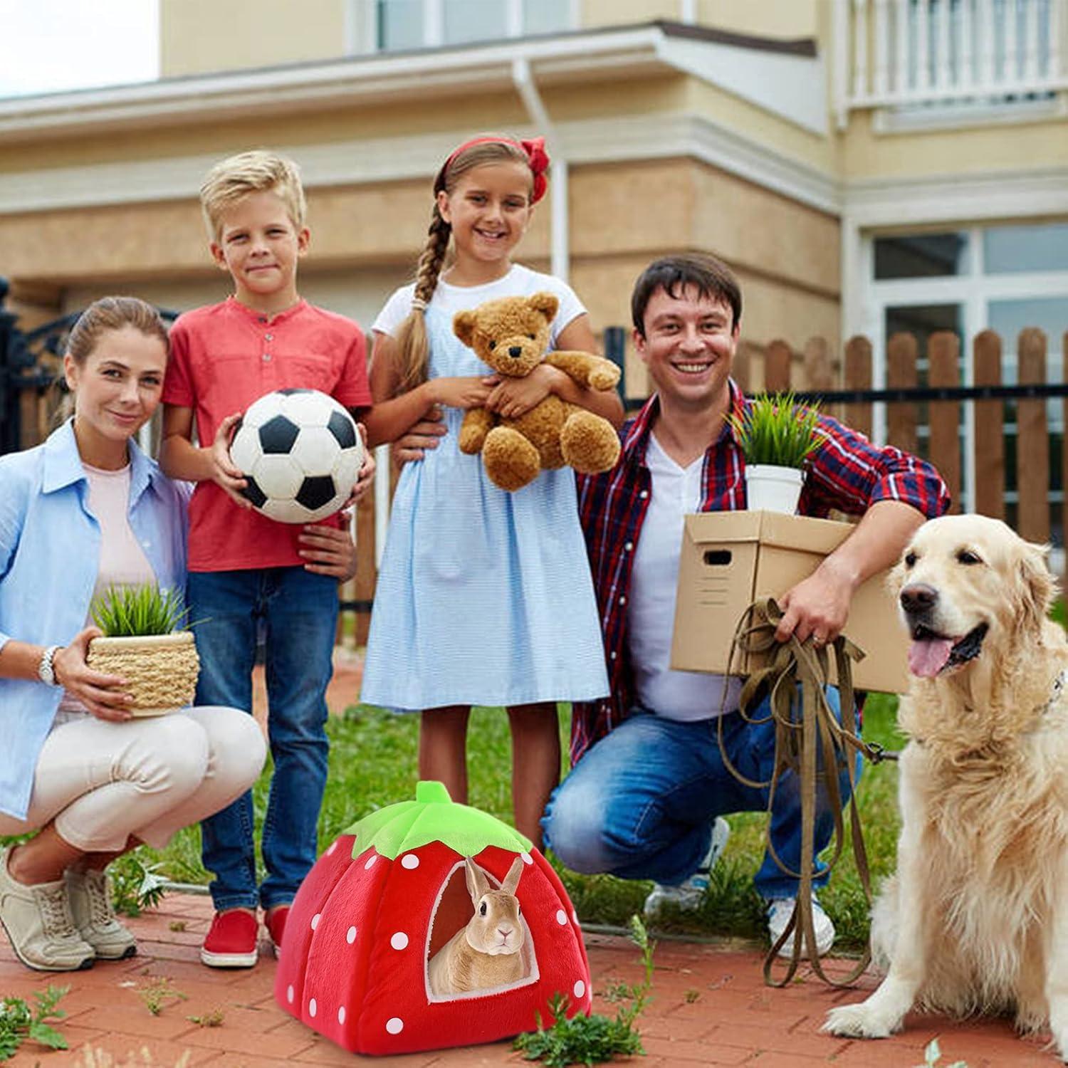 Kleintier Winterhaus Erdbeer-Design rutschfest tragbar Schlafsack Eichhörnchen
