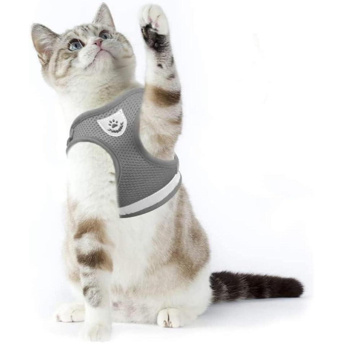 Katzengeschirr ausbruchsicher L Grau mit Leine