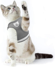 Katzen Geschirr mit Leine ausbruchsicher grau reflektierend weich