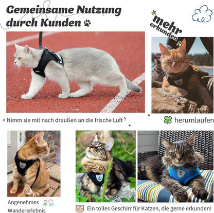 Supet Katzengeschirr mit Leine - Ausbruchsicher - Grau S (26-32