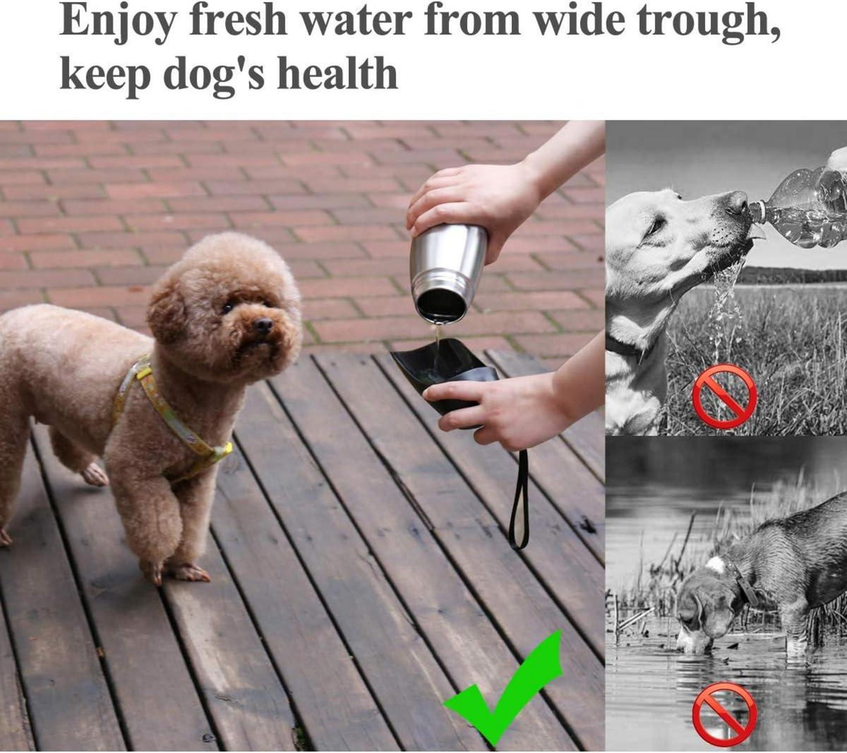 Tragbare Hundewasserflasche 750ml Edelstahl Trinkflasche für unterwegs