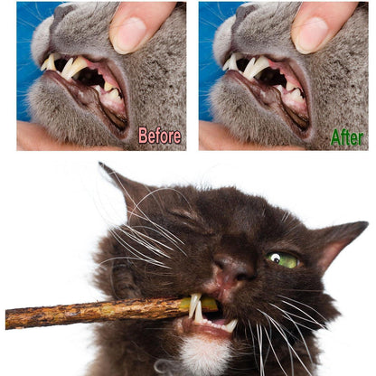 30 Katzenminze Sticks Matatabi Zahnpflege Katzenspielzeug