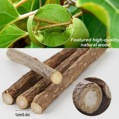 30 Katzenminze Sticks Matatabi Zahnpflege Katzenspielzeug