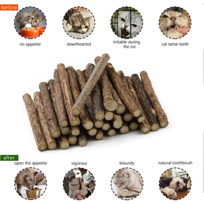 30 Katzenminze Sticks Matatabi Zahnpflege Katzenspielzeug