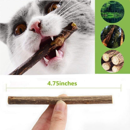 Katzenminze Sticks Matatabi 30 Stück Zahnpflege Katzenspielzeug