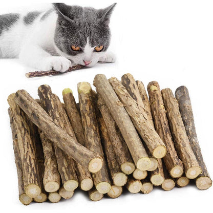 30 Katzenminze Sticks Matatabi Zahnpflege Spielzeug Zähne