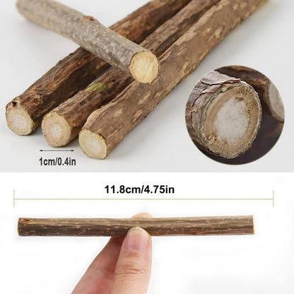 30 Katzenminze Sticks Matatabi Zahnpflege Spielzeug Zähne