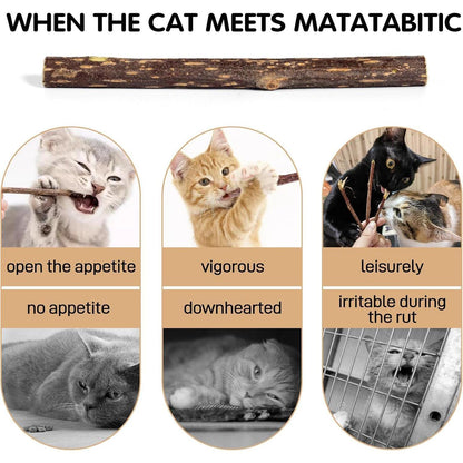 30 Katzenminze Sticks Matatabi Zahnpflege Spielzeug Zähne