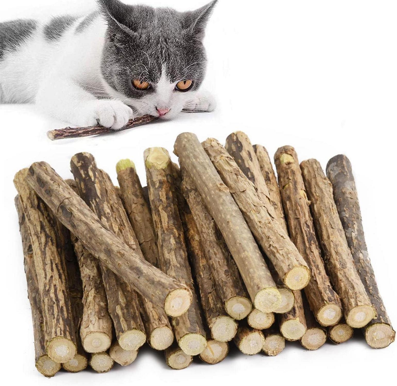 Katzenminze Sticks Matatabi Kauhölzer Zahnpflege Spielzeug