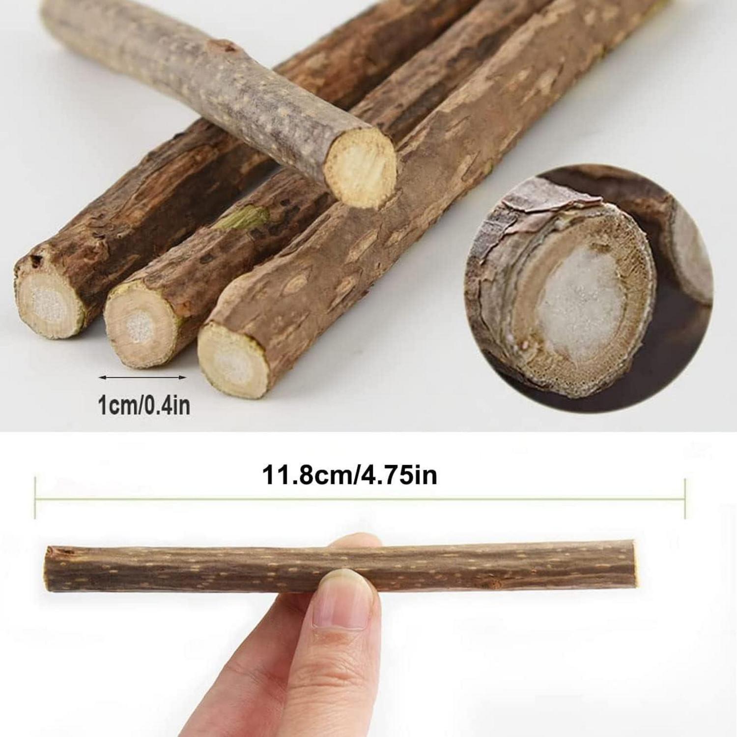 Katzenminze Sticks Matatabi Kauhölzer Zahnpflege Spielzeug