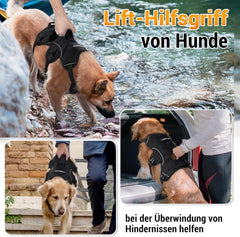 Ausbruchsicheres Hundegeschirr für mittelgroße Hunde, Schwarz, mit Griff