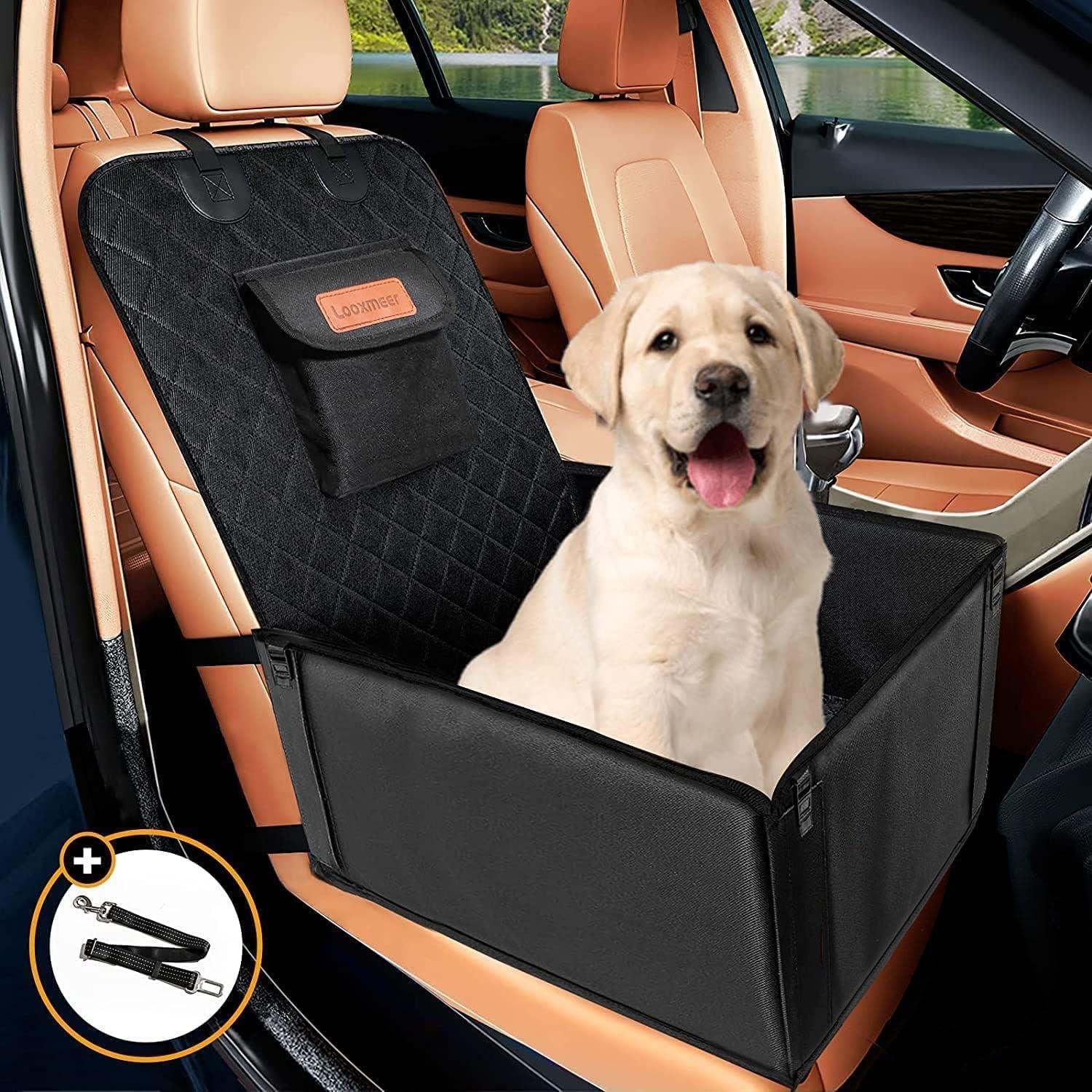 Hunde Autositz für Kleine Mittlere Hunde, Stabiler Hundesitz mit